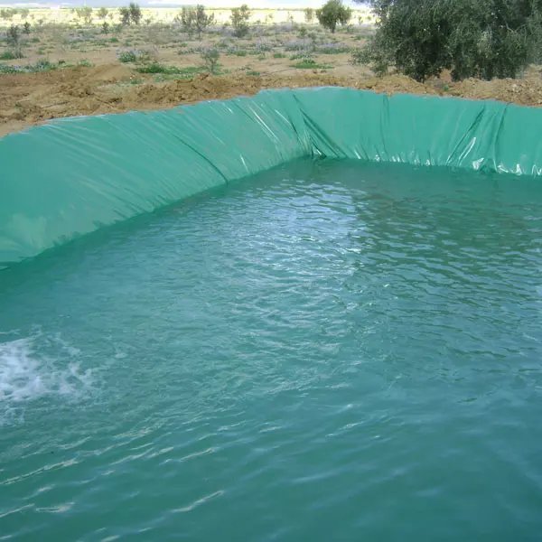 Hot sale 2mm dam seal tank liner hdpe film roll geomembrane circular aquaculture factory supply