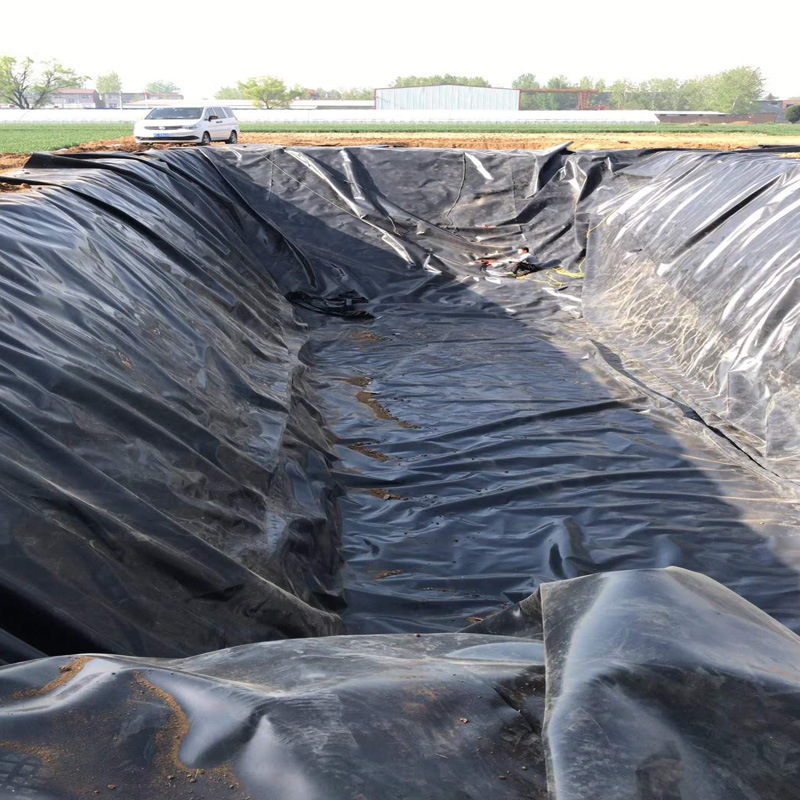 Hot sale 2mm dam seal tank liner hdpe film roll geomembrane circular aquaculture factory supply