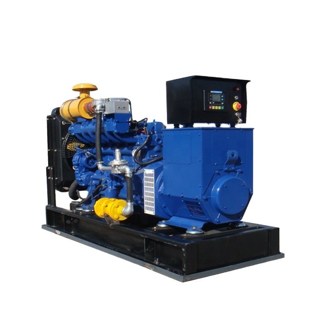 Biogas plant to generate electricity biogas generator 100kw