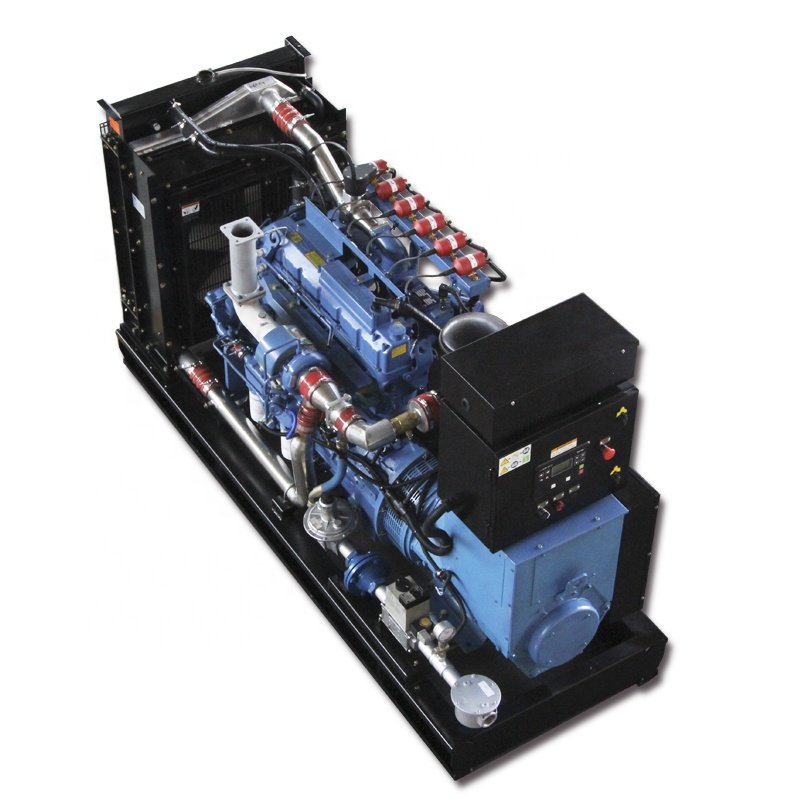 Gtl Gas Generator CHP Natural Gas Electric Genset Biogas Power Generator Set with Factory Price