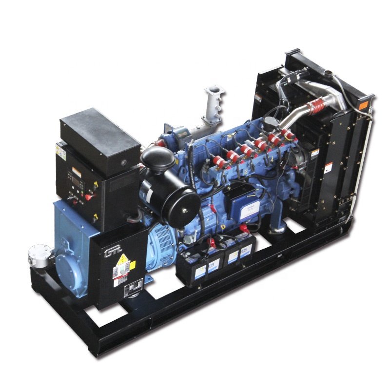 Gtl Gas Generator CHP Natural Gas Electric Genset Biogas Power Generator Set with Factory Price