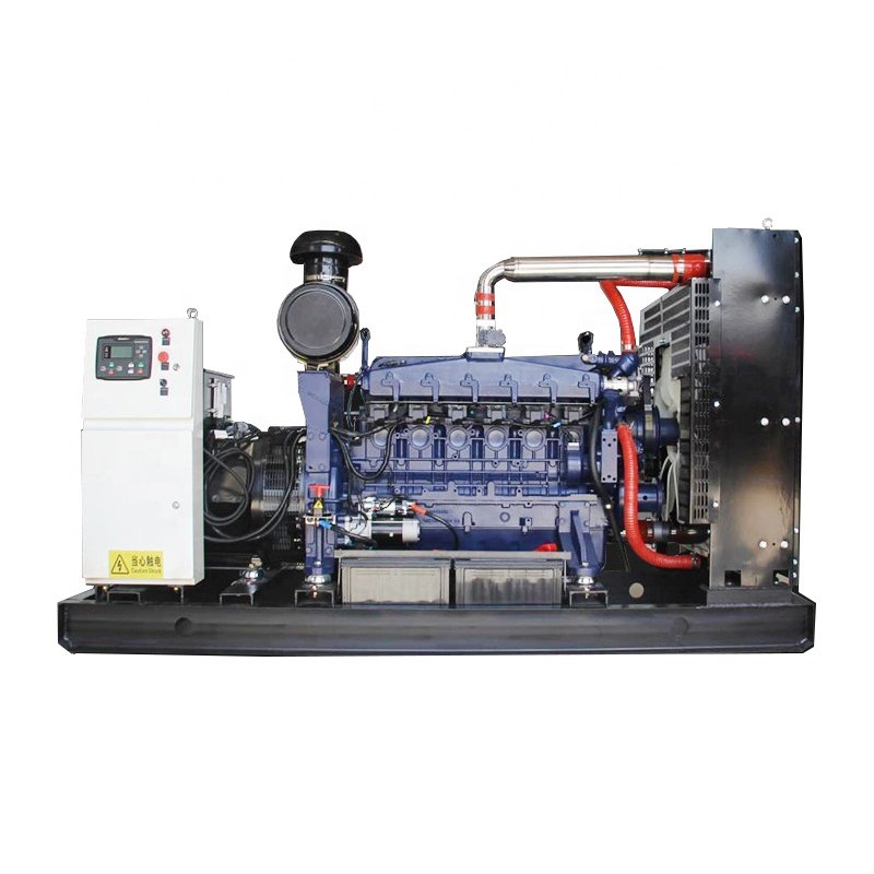 CE & ISO methane 3 phase ng power 312.5 kva 250kw natural gas generator for sale