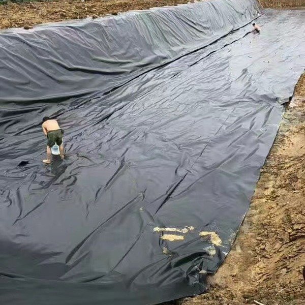 Geomembrane Anti-seepage project Tailings pond digester