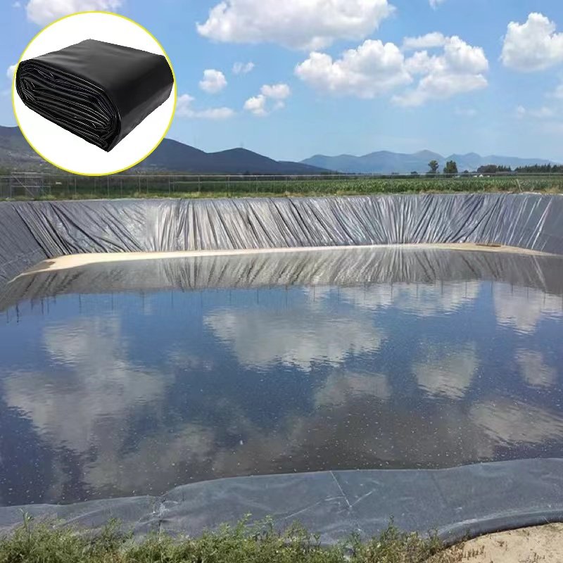 Linear (LLDPE) Geomembrane Pig Farm Biogas Digester Sewage Tank Acid-Base Anti-Seepage Membrane Lining Plate