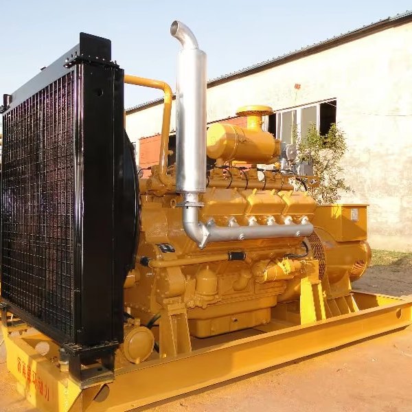 Electric supplier high quality biogas generator set