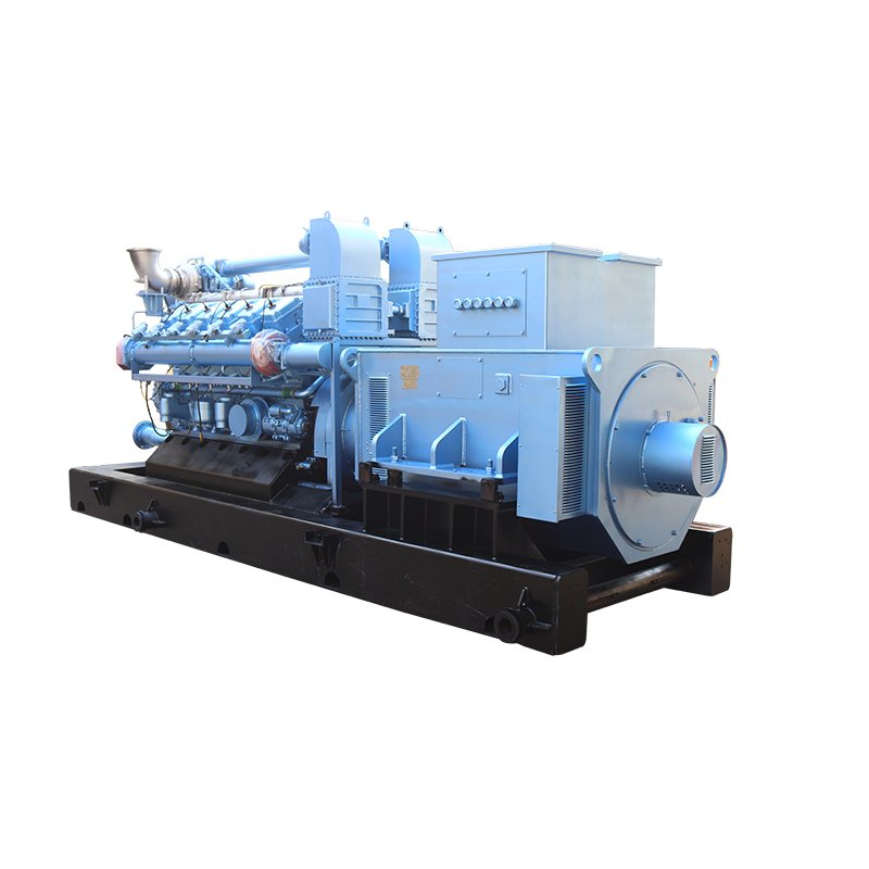 CE Approved Waste To Energy Power Plant Biogas Generator For Sale
