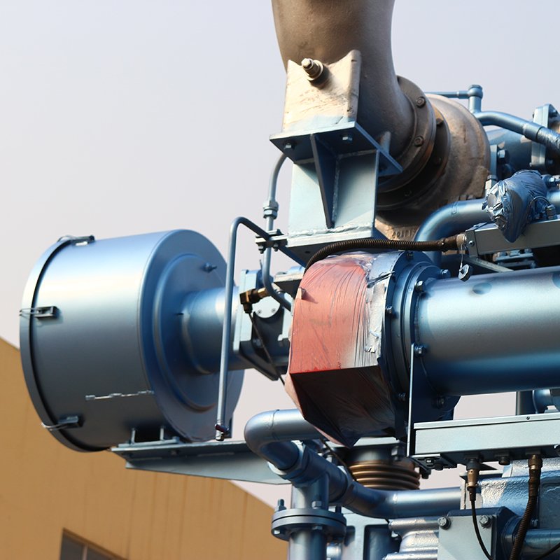 CE Approved Waste To Energy Power Plant Biogas Generator For Sale