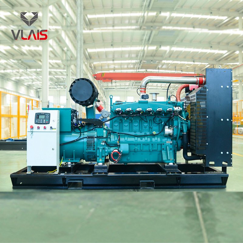 Heavy Duty 20KW to 1000KW natural gas power plant biomass biogas gas electric generator with Vlais engine