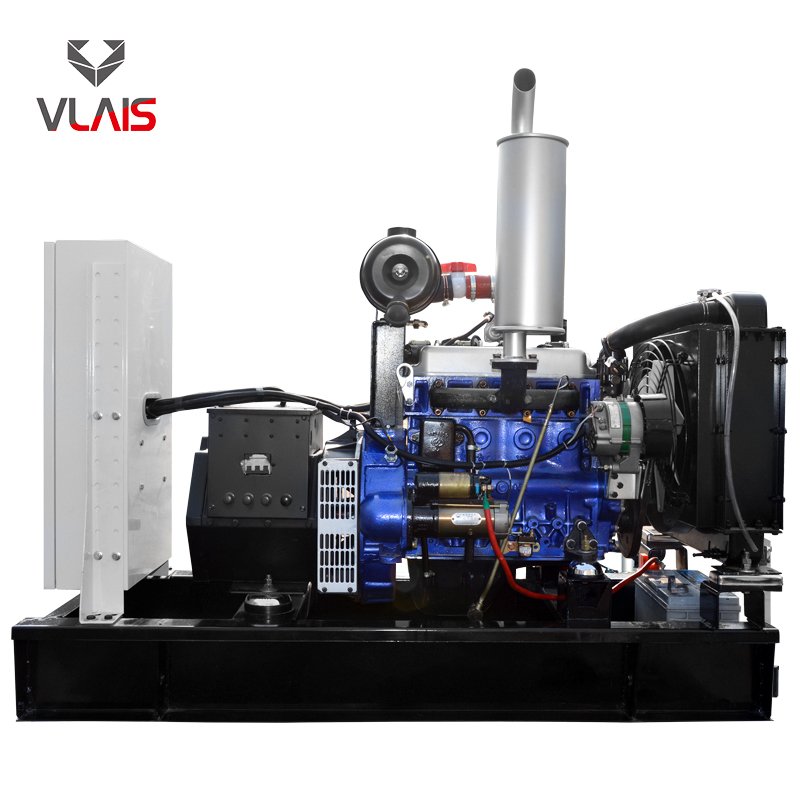 Heavy Duty 20KW to 1000KW natural gas power plant biomass biogas gas electric generator with Vlais engine
