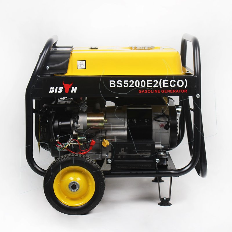 Bison China 3Kva 3Kw Biogas Electric Portable Power Petrol Gasoline Generators Gas Lpg