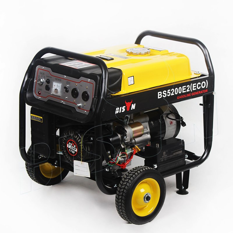 Bison China 3Kva 3Kw Biogas Electric Portable Power Petrol Gasoline Generators Gas Lpg