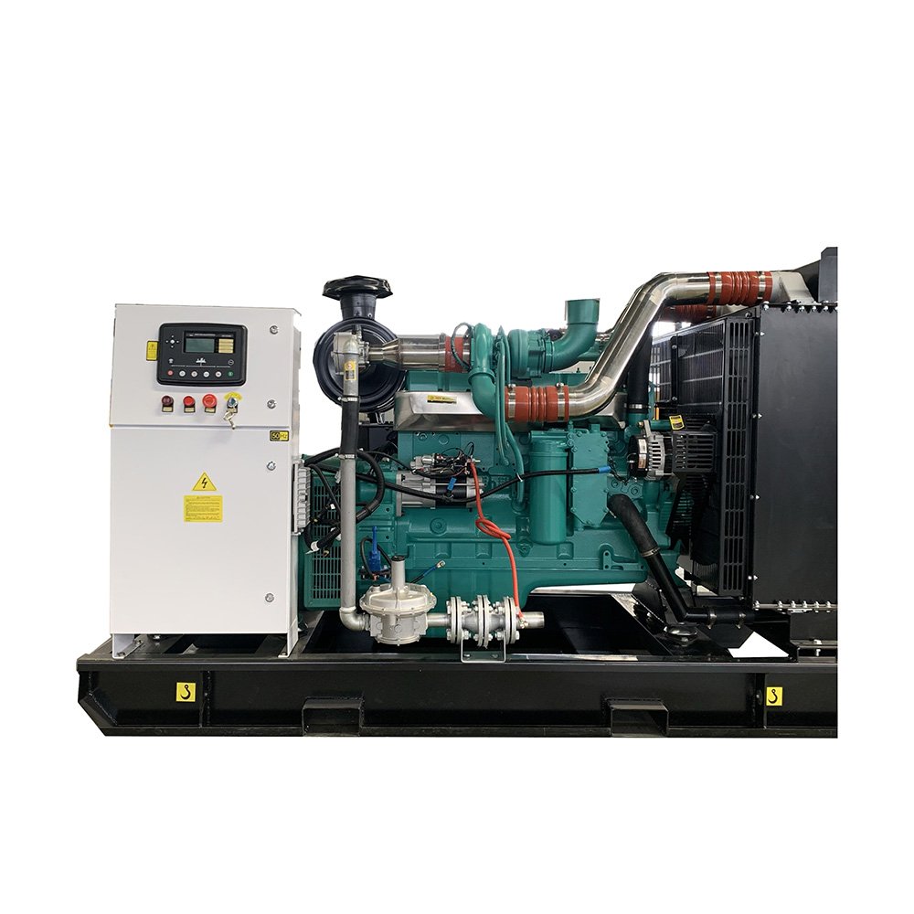 Water Cooled Silent 10kw 20kw 25kw 30kw 40kw 100kw 200kw Cheap methane gas generator Biogas Generator Plant for Home Use