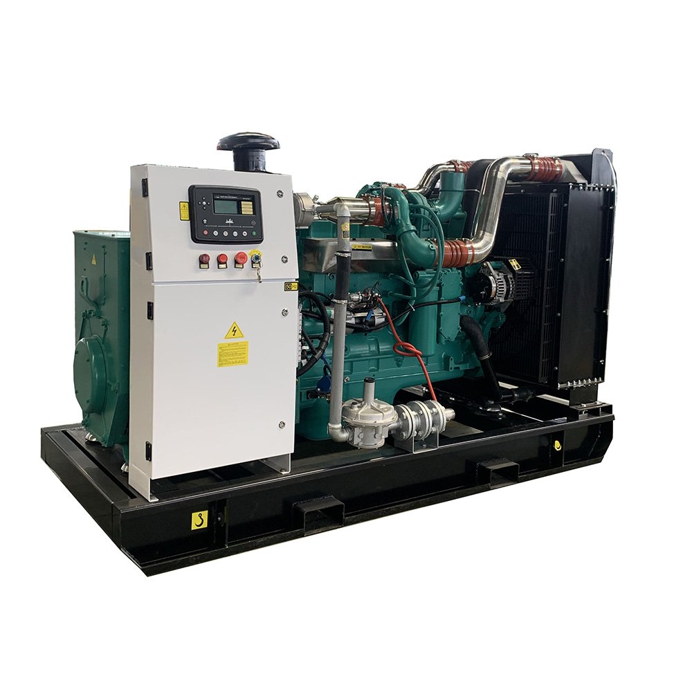 Water Cooled Silent 10kw 20kw 25kw 30kw 40kw 100kw 200kw Cheap methane gas generator Biogas Generator Plant for Home Use