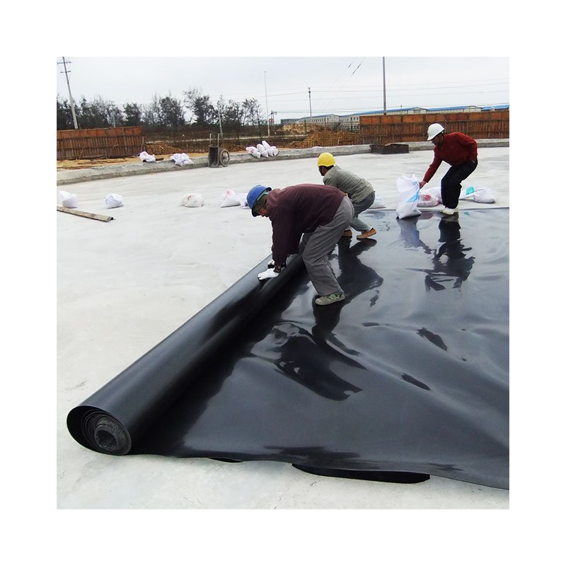 swimming pool tailing dam reinforced pvc fish farm polypropylene uv resistant hdpe geomembrane for agricultural biogas digester