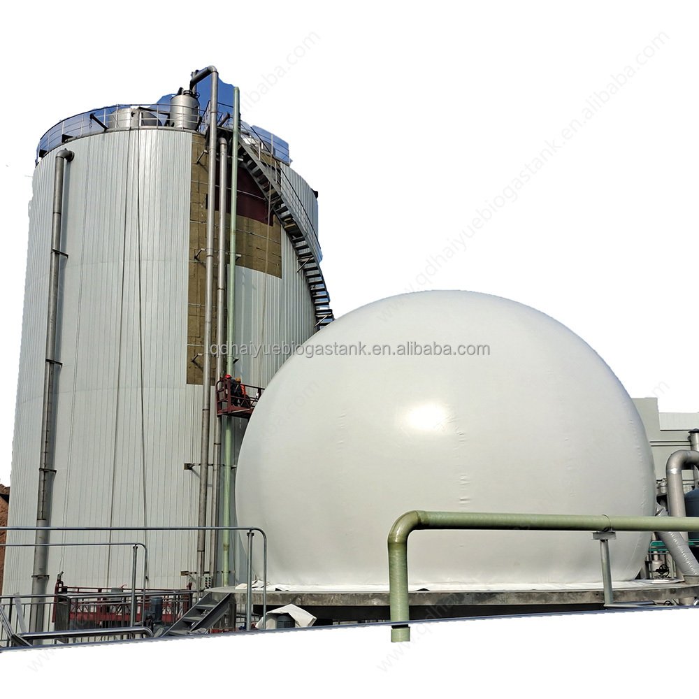 1200 Cubic Meters Biodigester Biogas And 400m3 Gas Holder Capacity Biogas Plant/ Biogas Steel CSTR Digester