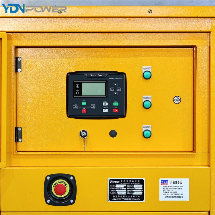 OEM/ODM Water Proof CSA Backup Power Hospital Use 150KW Lpg Generator Set With FAW Engine