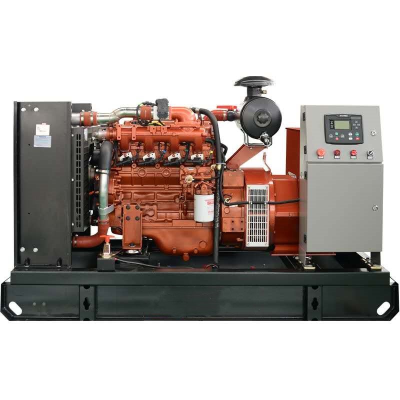 3phase water cooled 50hz 1500rpm 60hz 1800rpm CE ISO ricardo 60kw 75kva biogas generator plant silent home