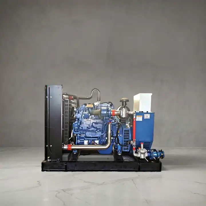 BHKW 10kW to 2000kW Cogeneration Generator Natural Gas/Biogas with Brushless Excitation LPG Fuel ISO9001 Certified CHP