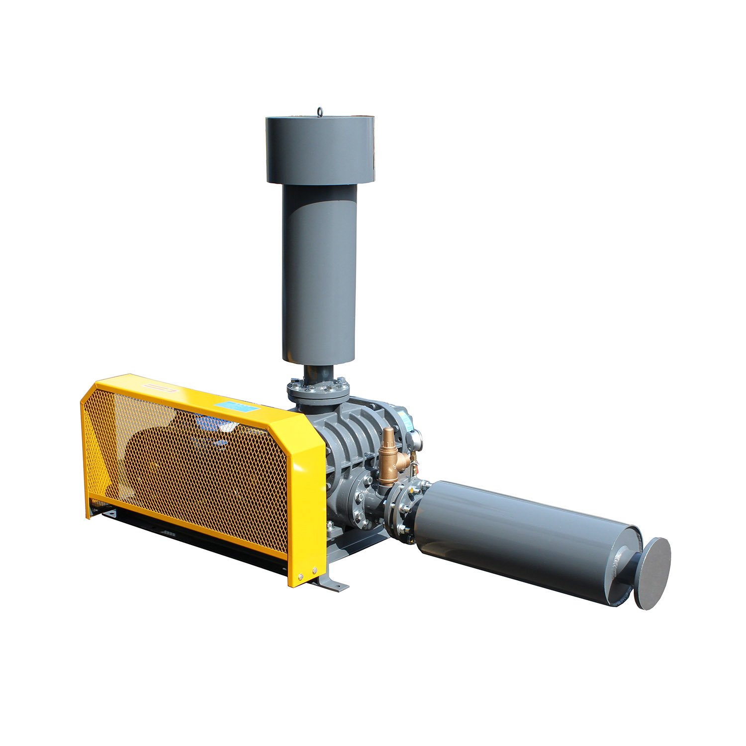 NSR250-H Roots Blower for Biogas Production