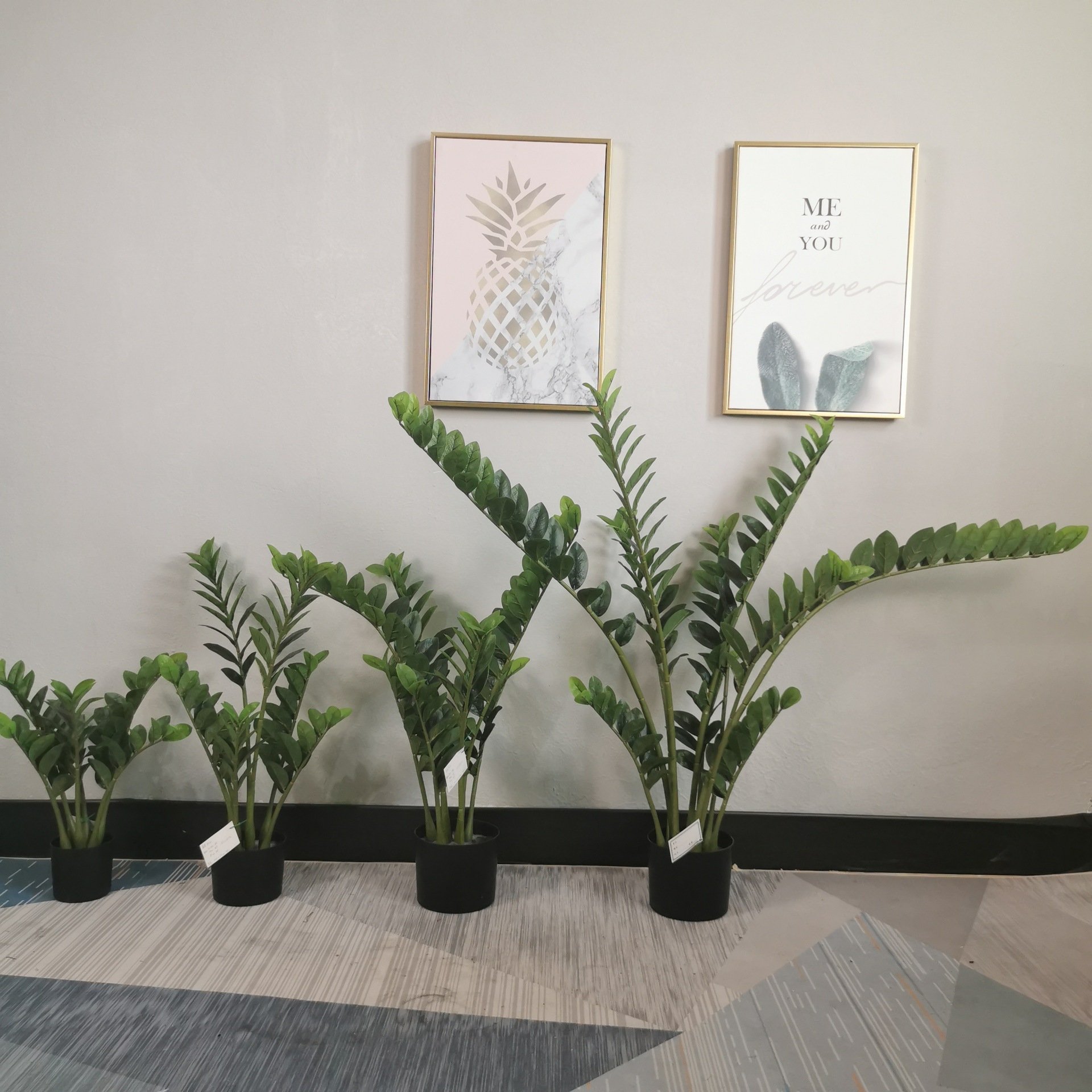 faxu Money tree Potted Green Plants for Home Decoration