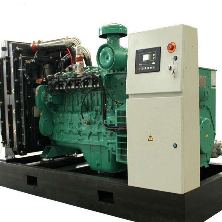 biogas engine generator with conversion kit for gasoline generator