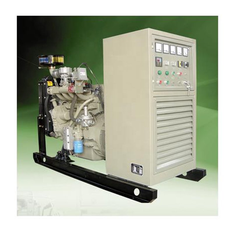 biogas engine generator with conversion kit for gasoline generator