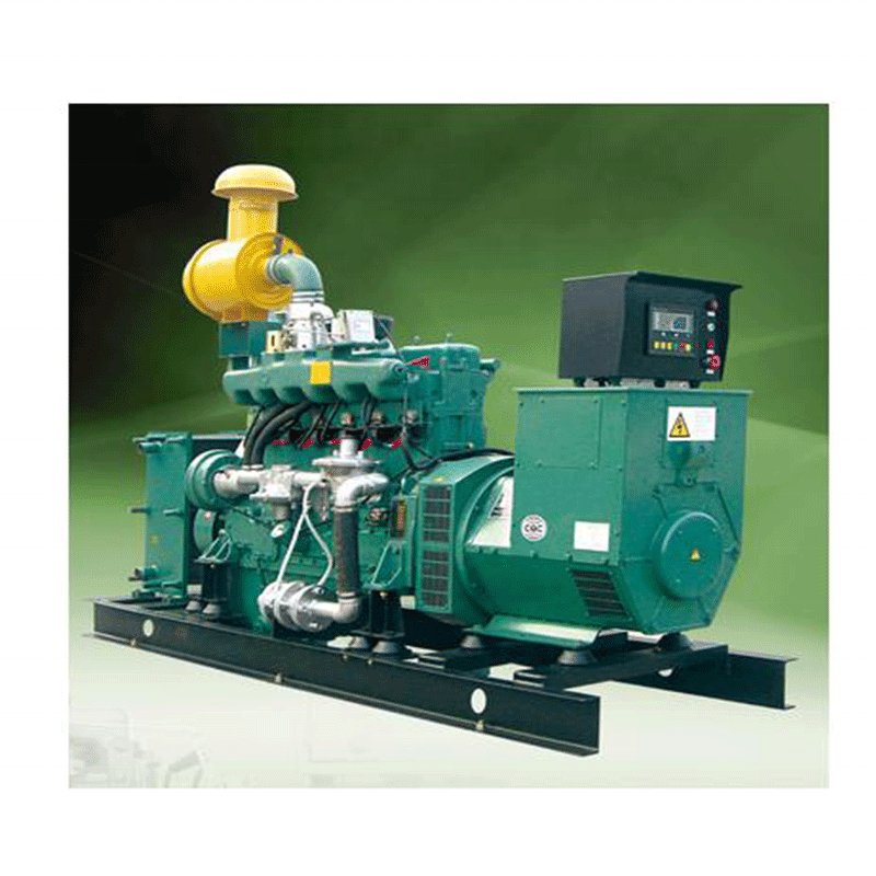 biogas engine generator with conversion kit for gasoline generator