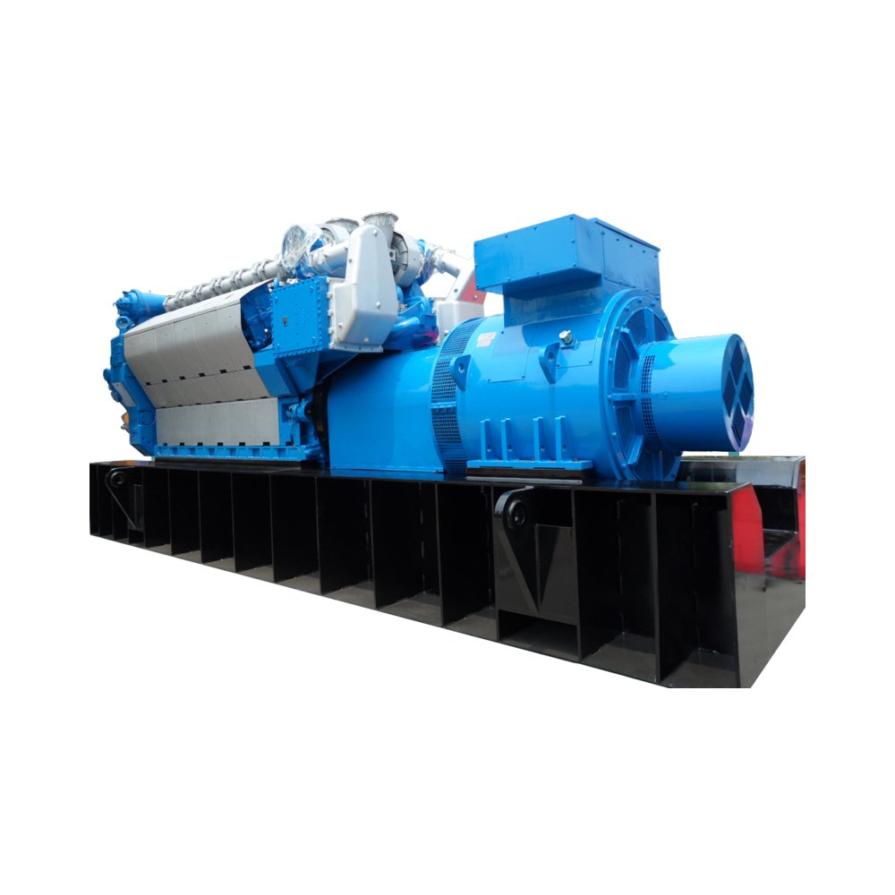 Reliable Quality Wholesale 800Kw/1000Kva Biogas Generator Manufacturer For Gas Generators Set For Home