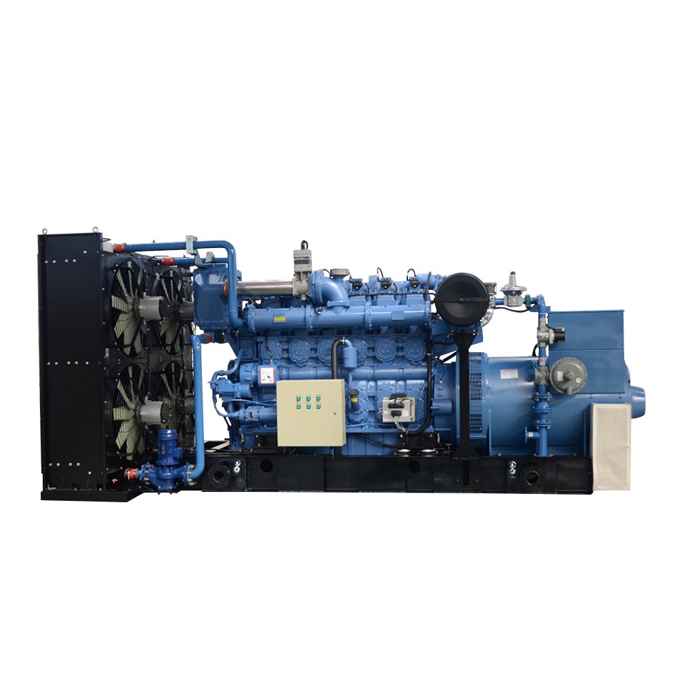 Reliable Quality Wholesale 800Kw/1000Kva Biogas Generator Manufacturer For Gas Generators Set For Home