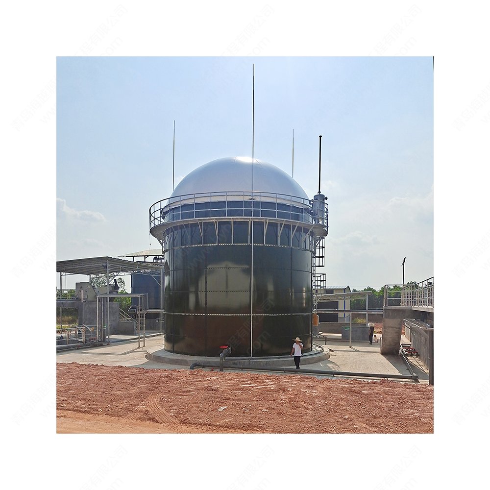 Double membrane biogas holder small biogas plant for cattle farm (pig farm, chicken farm) fecal sewage treatment