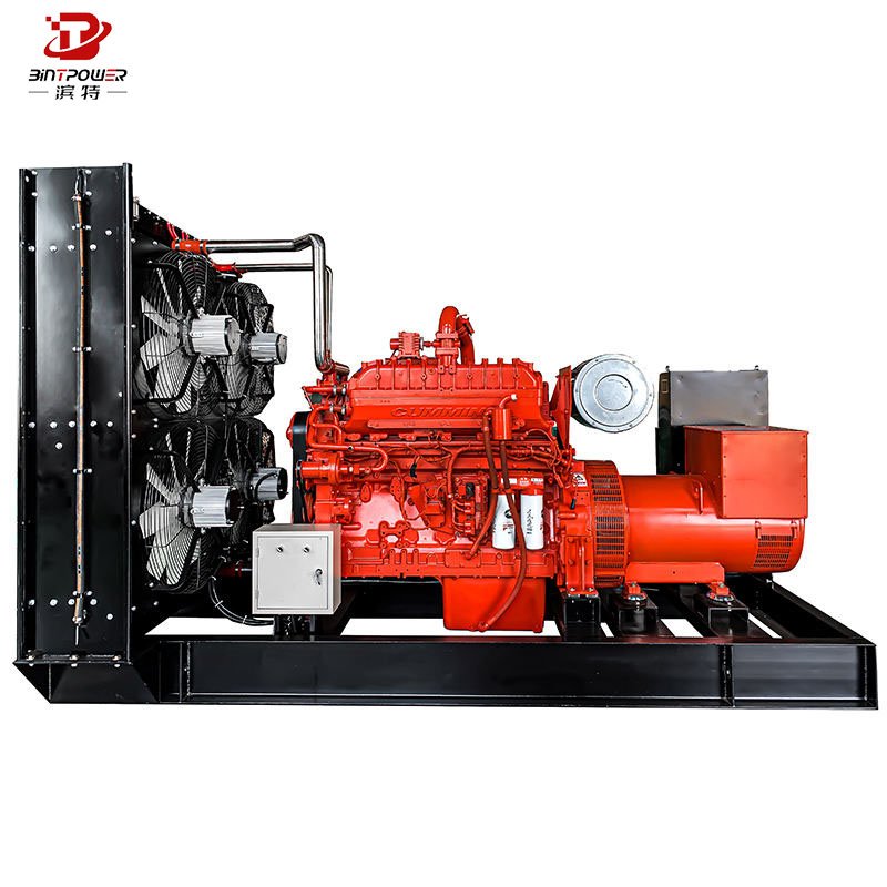 BINTPOWER 60kw100kw High Efficiency Natural Gas Generator Biogas/LPG Genset for Sale