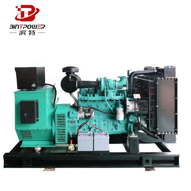BINTPOWER 60kw100kw High Efficiency Natural Gas Generator Biogas/LPG Genset for Sale