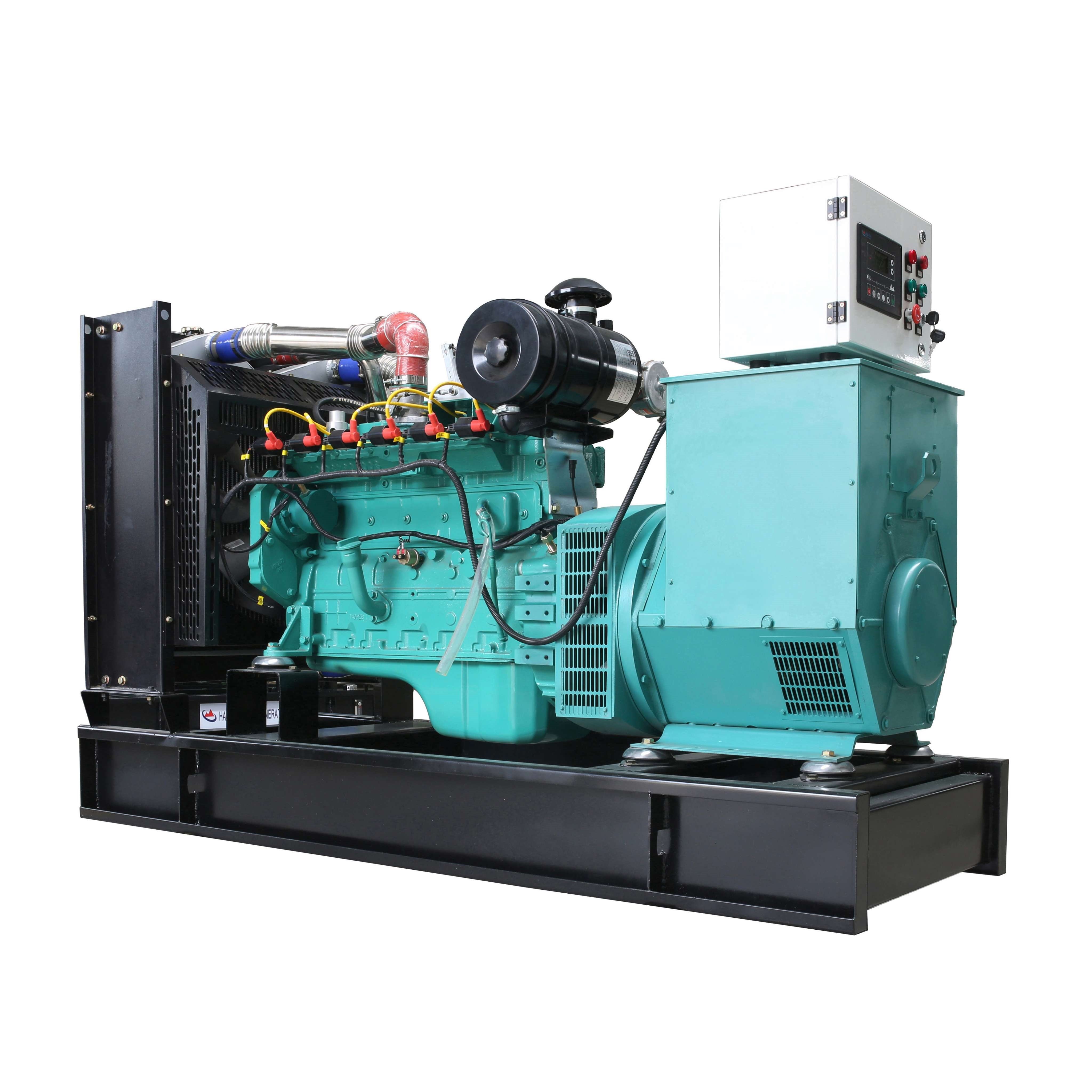 Factory Supply Fascinating Price 50Kw/62.5Kva Standby Generator Gas Biogas Generator Set For The Home