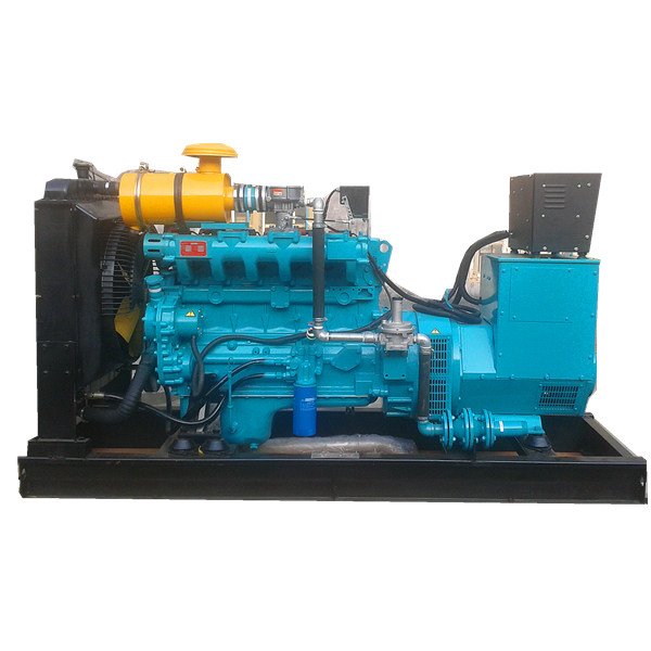 China factory natural Home Gas Generator Biogas Generator Price Pakistan