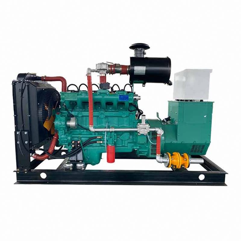Single-Phase Gas Fired Power Plants LPG Natural Gas Biogas Compatible Electric Start Water Cooling Excitation Type Brushless