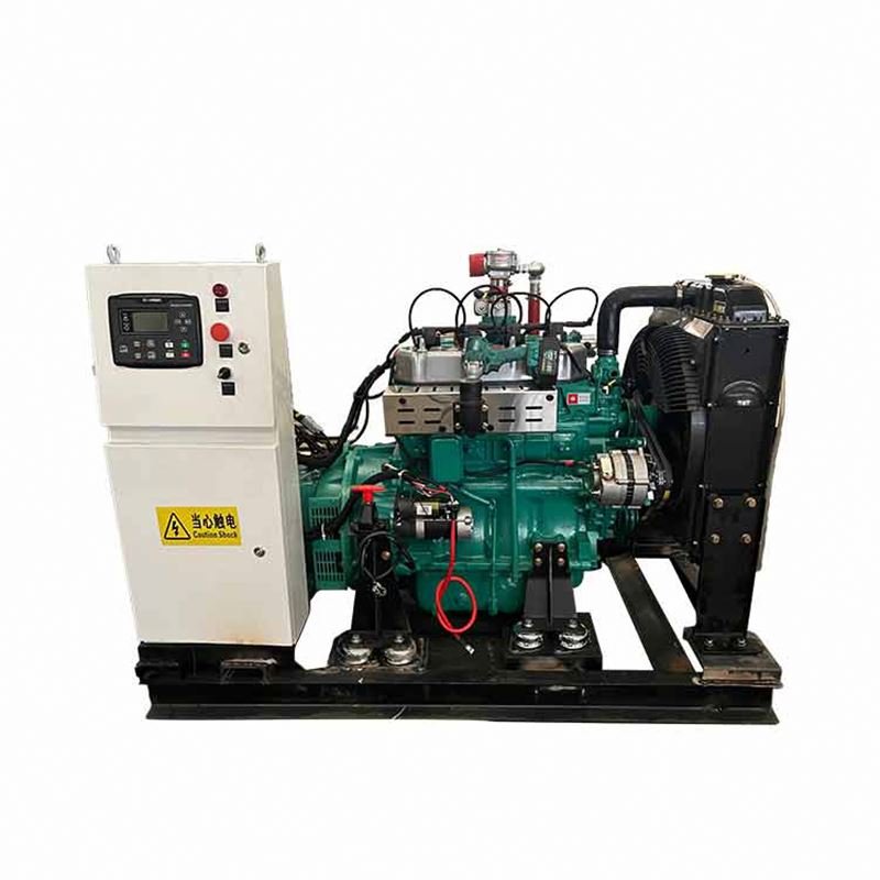 Single-Phase Gas Fired Power Plants LPG Natural Gas Biogas Compatible Electric Start Water Cooling Excitation Type Brushless