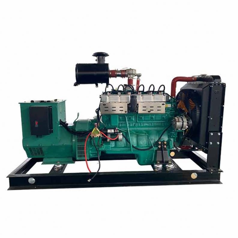 Single-Phase Gas Fired Power Plants LPG Natural Gas Biogas Compatible Electric Start Water Cooling Excitation Type Brushless
