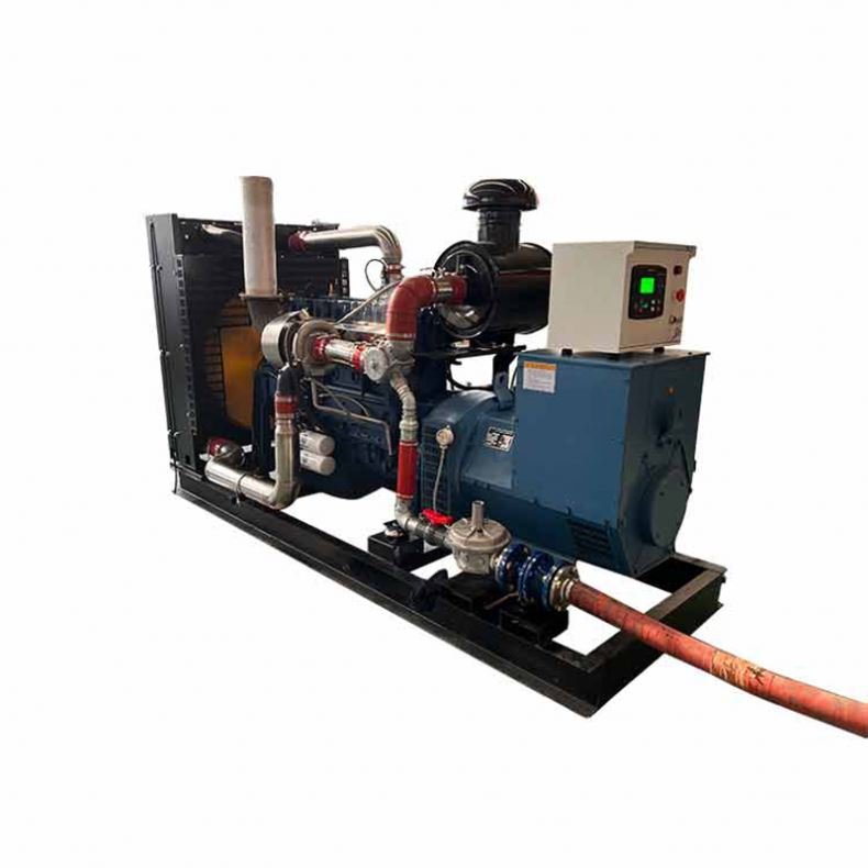 Single-Phase Gas Fired Power Plants LPG Natural Gas Biogas Compatible Electric Start Water Cooling Excitation Type Brushless