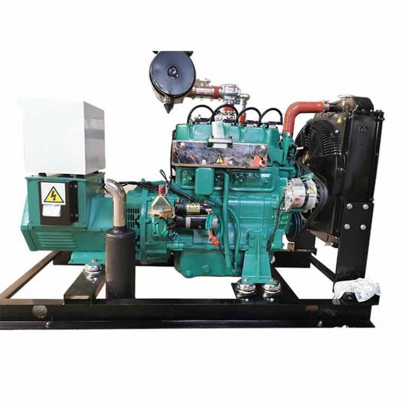 Single-Phase Gas Fired Power Plants LPG Natural Gas Biogas Compatible Electric Start Water Cooling Excitation Type Brushless