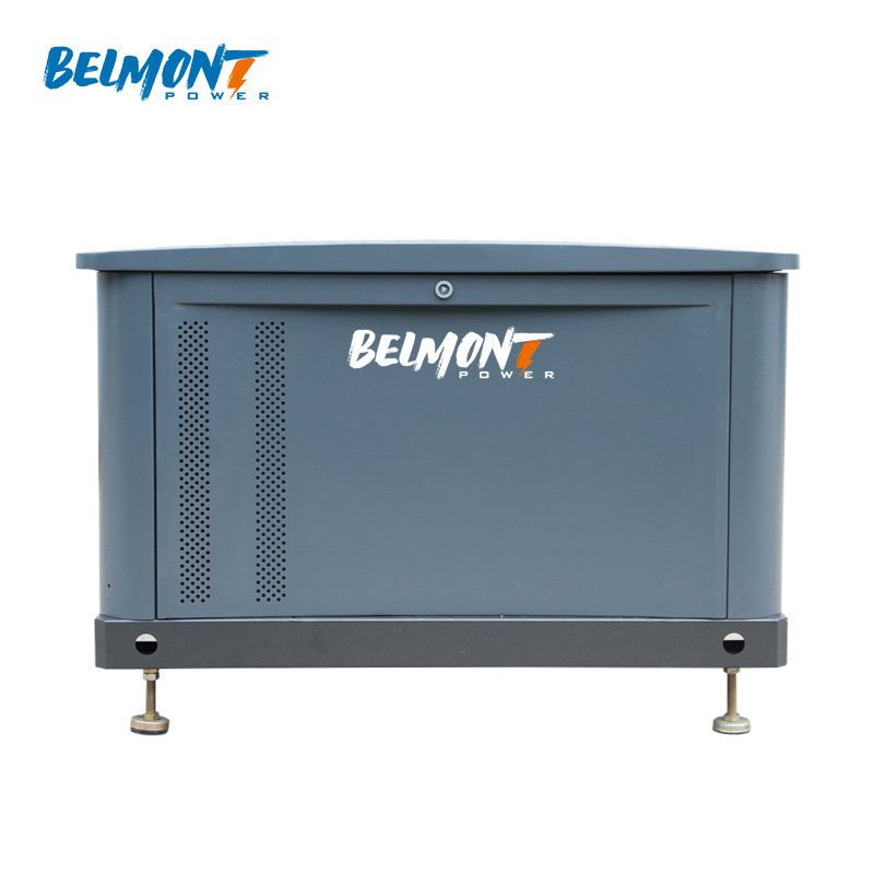 7kw 8kw 14kw 15kw 17.5kv 19Kva 20kva 16kw 25kva 36kva 20kw 22kw 23kw Air Cooled LPG Home Natural Gas Generator for Whole House