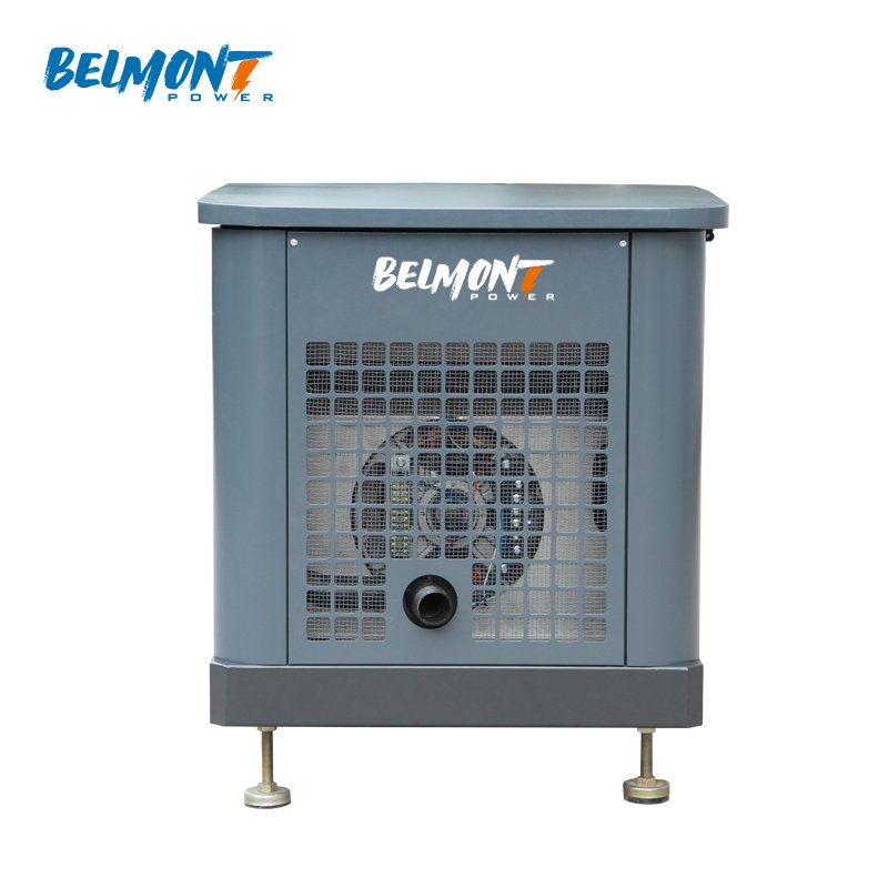7kw 8kw 14kw 15kw 17.5kv 19Kva 20kva 16kw 25kva 36kva 20kw 22kw 23kw Air Cooled LPG Home Natural Gas Generator for Whole House