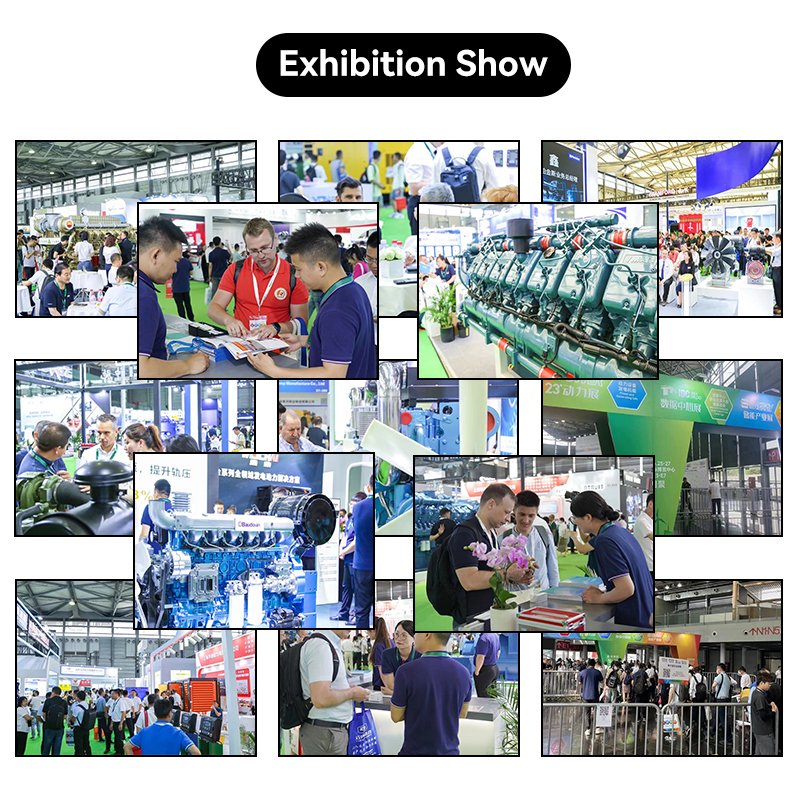 IDINGXIN 500kw 300kw 200kw 100kw 50kw 30kw 10kw natural gas biomass biogas lpg gas electric generator