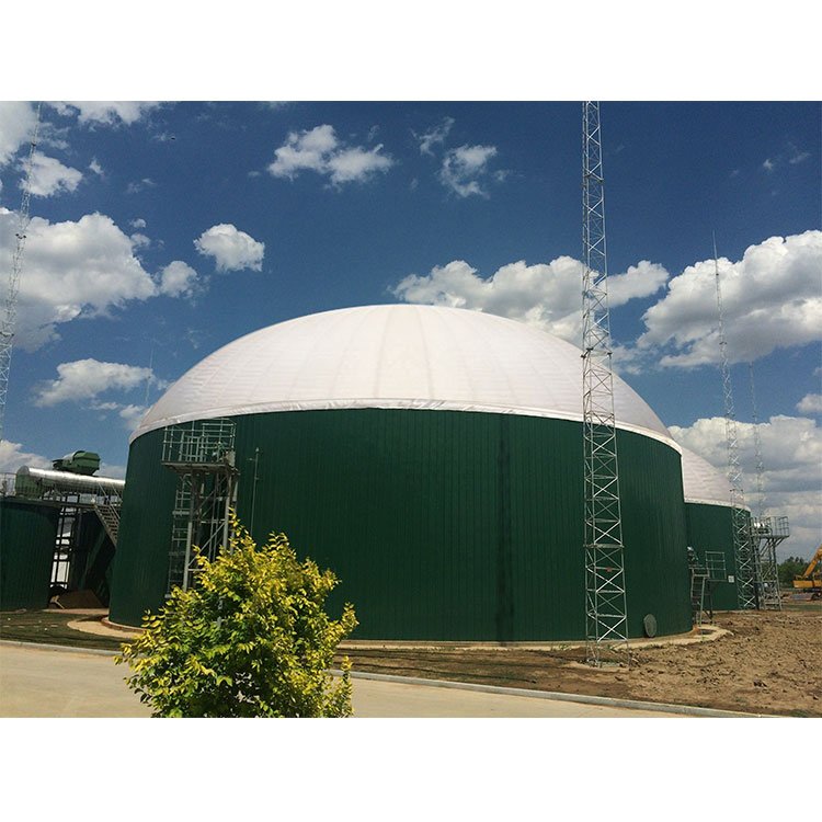 small biogas plant system 10 kw mini biogas power plant