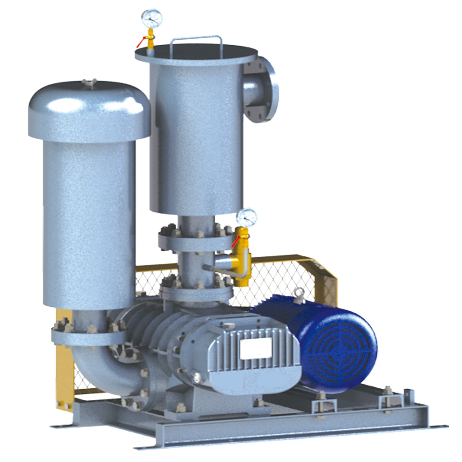 NSR250-H Roots Blower for Biogas Production