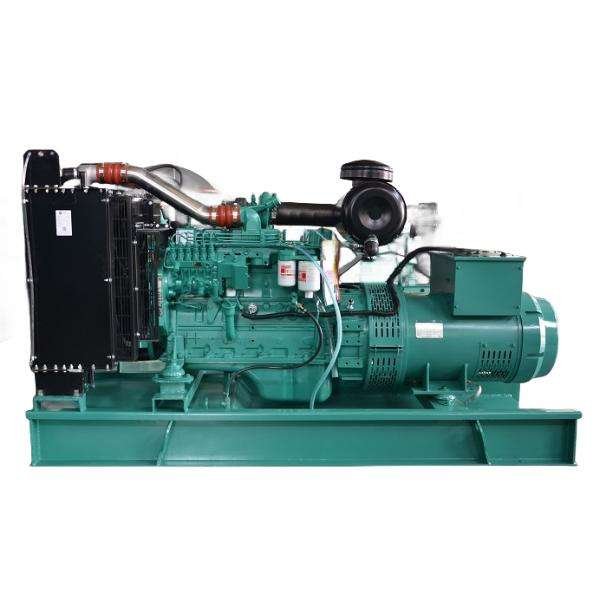 Hot sale Natural Gas Generator 200KW 250KVA Auto Start Biogas Generator Power Plant/ Biomass Generator/ Methane Gas Generator