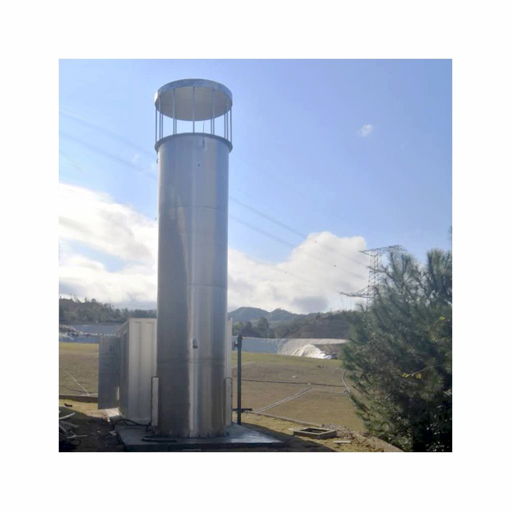 China high quality/high grade quality biogas flare/gas flare from factory