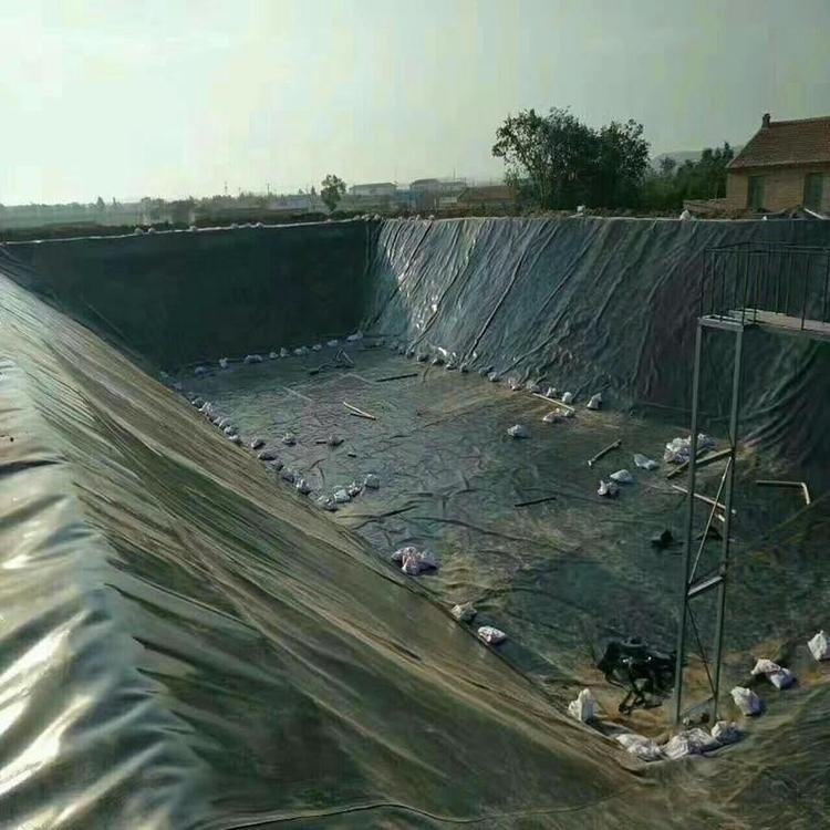 Black HDPE Geomembrane Liner 0.5mm Fish Farming Tank Liner HDPE Fish Shrimp Farming Pond Liner