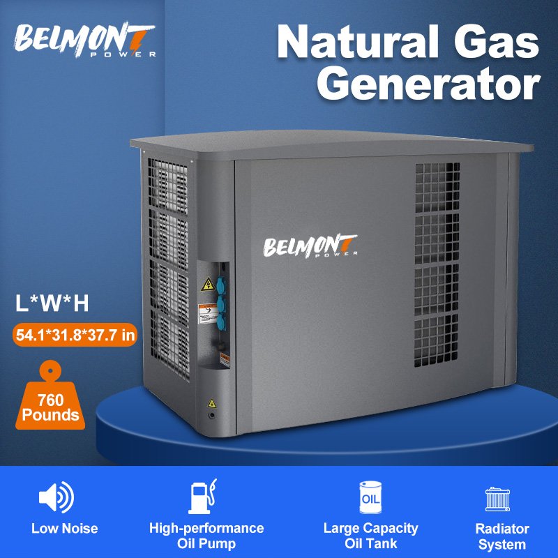 20kva 16kw 25kva 36kva 20kw 22kw 23kw Powered Inverter Electric Home lpg generator 10kw Natural Gas Generator