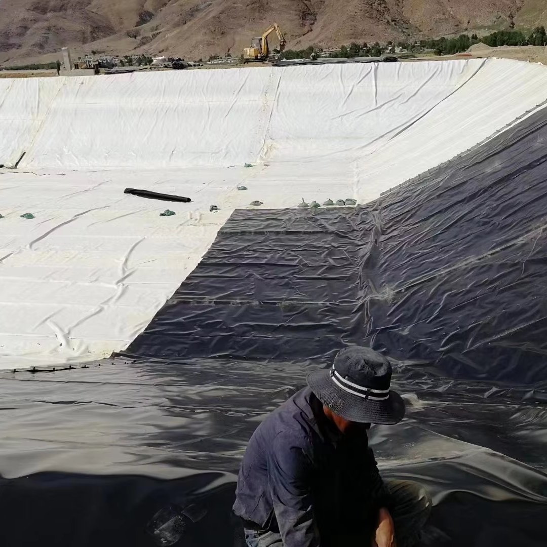 HDPE Geomembrane Geo Liner 500/8000/1000 Microns Manufacturer Anti-Seepage Impermeable HDPE Geomembrane