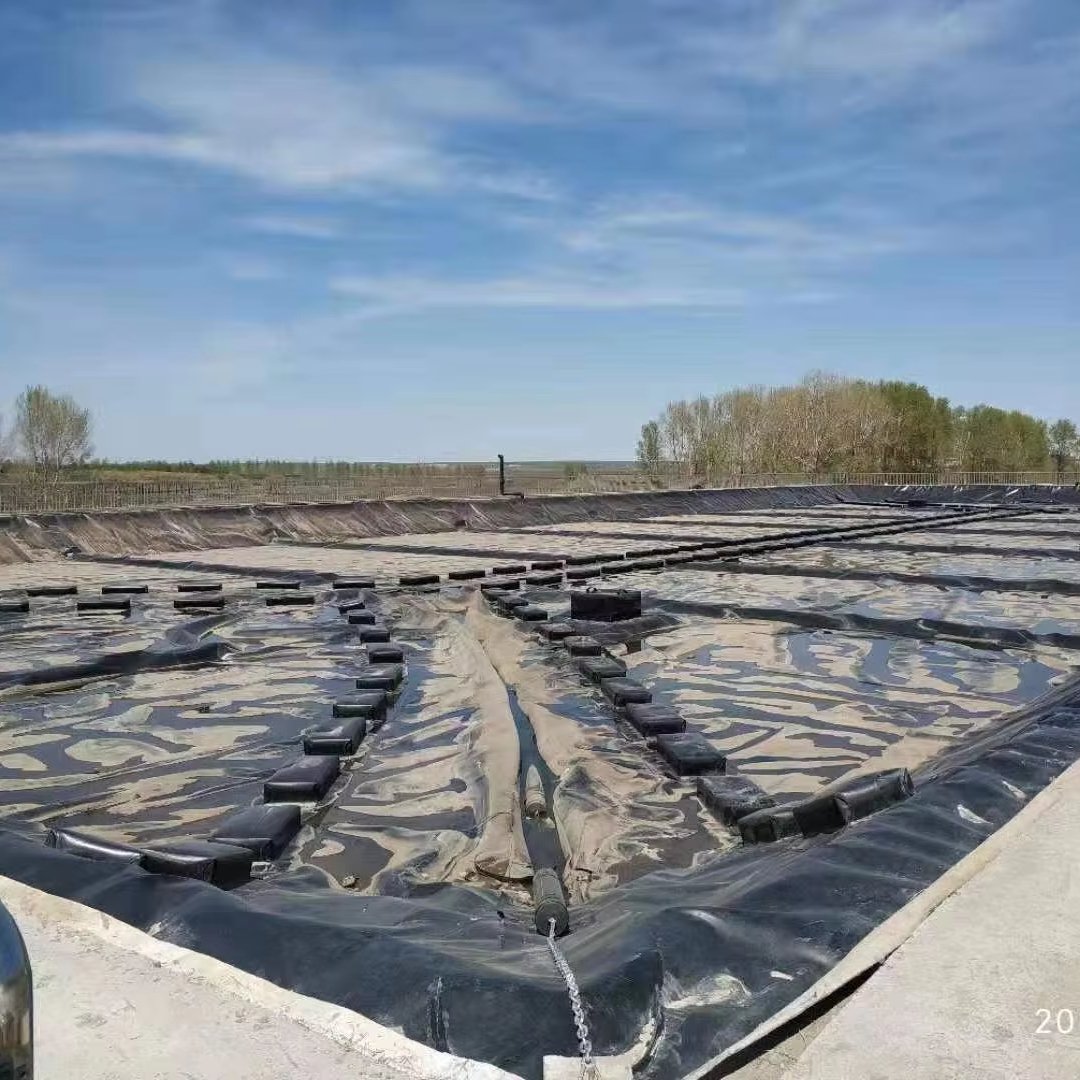 HDPE Geomembrane Geo Liner 500/8000/1000 Microns Manufacturer Anti-Seepage Impermeable HDPE Geomembrane